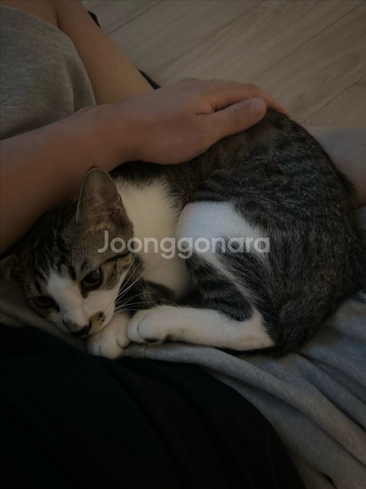 기아 두산 8/15 3루 3연석 양도 받아요--0