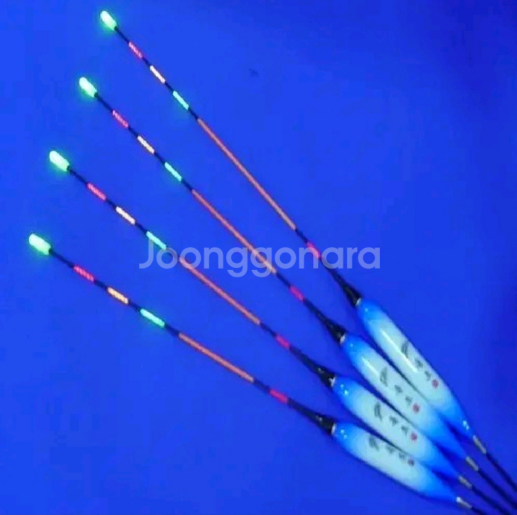 대물찌 대물낚시 대물전자찌 민물찌 민물낚시--0
