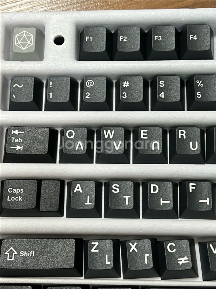 GMK 오일러--0