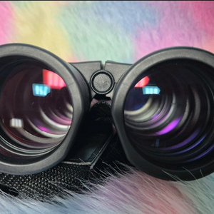 Kenko ultraVIEW EX 12X50DH 망원경