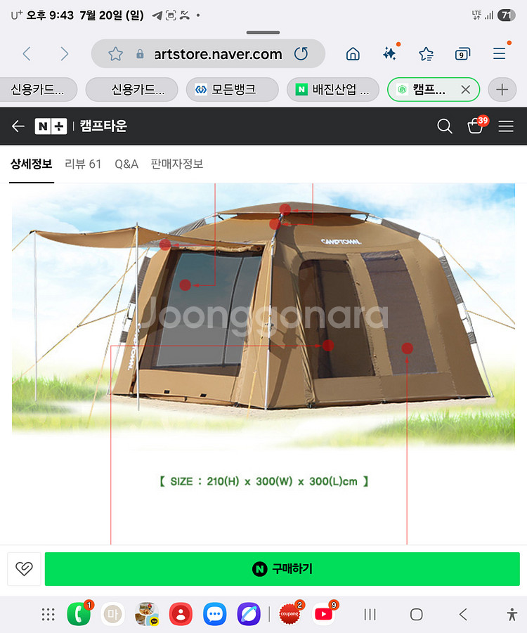 캠프타운 엘시드 자동텐트--0
