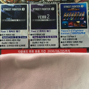 닌텐도 스트리트파이터6 코드판매