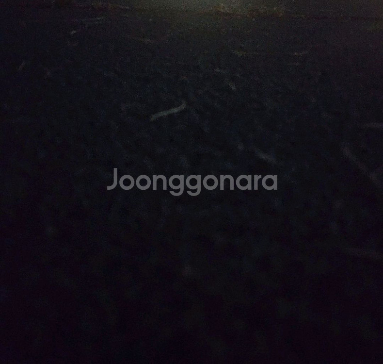 야구티켓--0