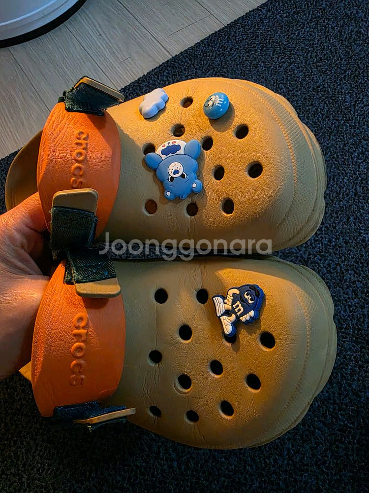 크록스 올터레인--1