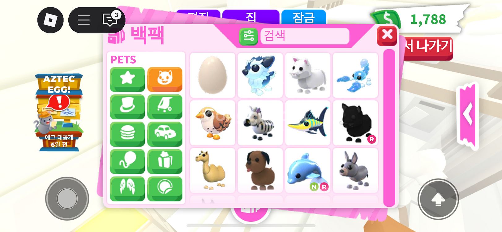 입양하세요 펫 팔아요--3