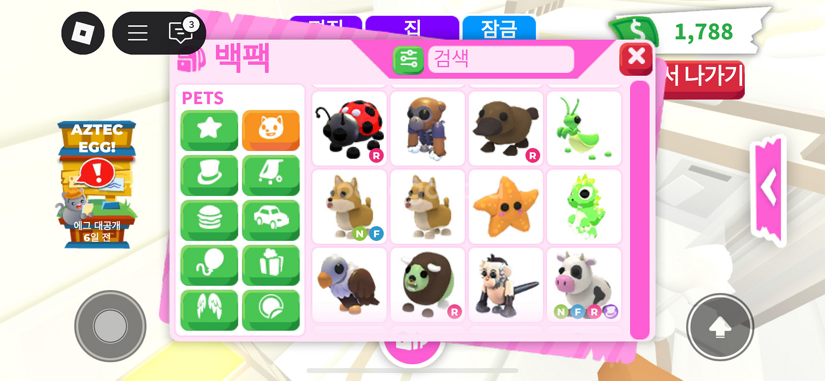 입양하세요 펫 팔아요--1