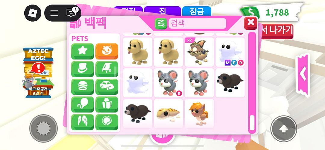 입양하세요 펫 팔아요--5
