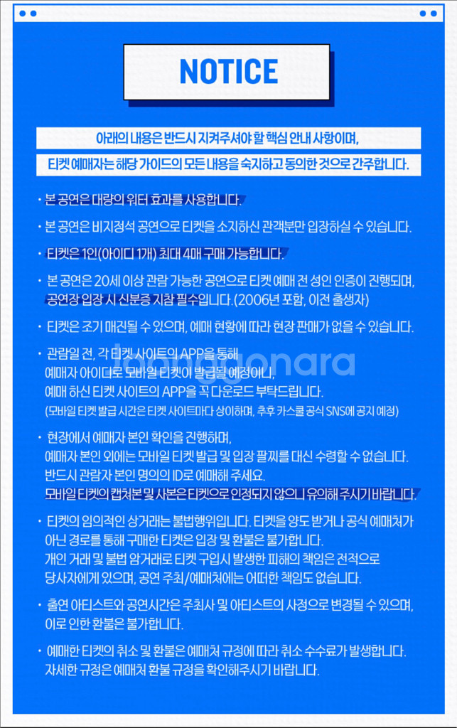 카스쿨 페스티벌--2
