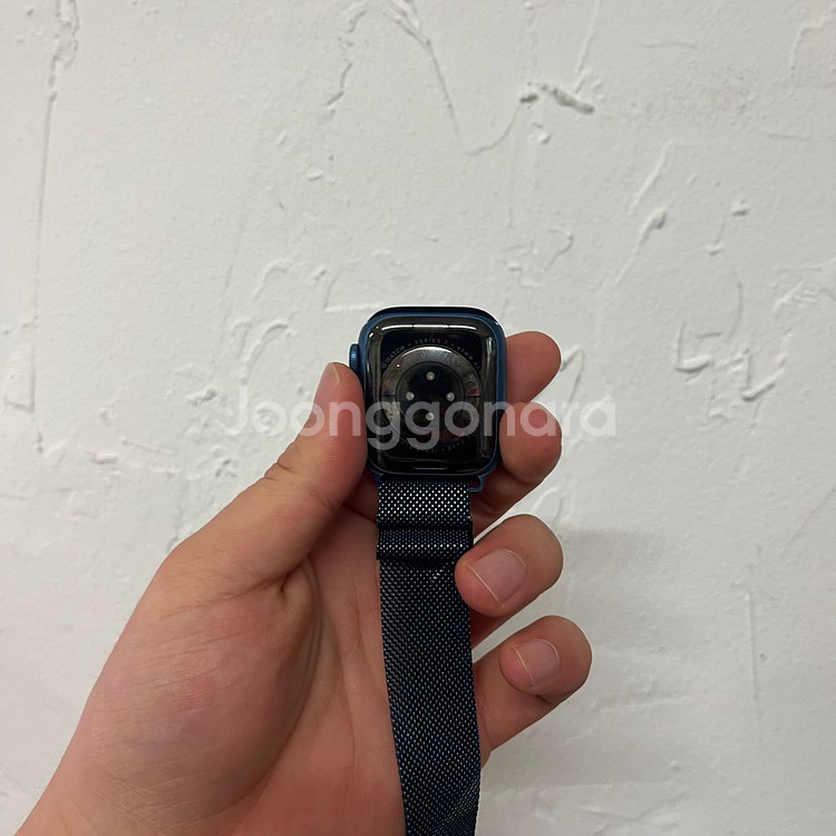 애플워치7 41mm gps 블루--4