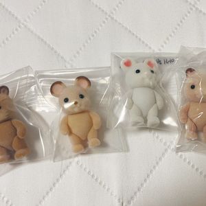 실바니안 다람쥐 도토리쥐 마멜쥐 햄스터 직립 아기