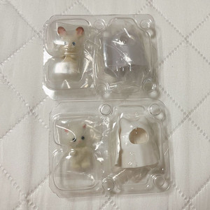 실바니안 유령 고양이 토끼 직립 아기