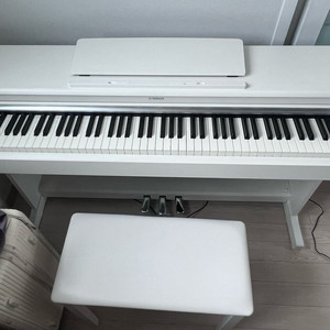 ydp-165