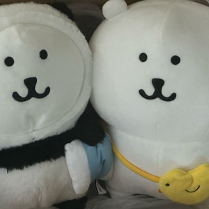 농담곰 비플랏