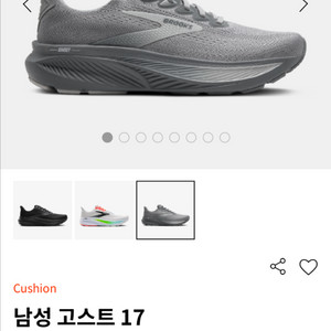 브룩스런닝화 고스트 17 프라머그레이 WIDE 275m