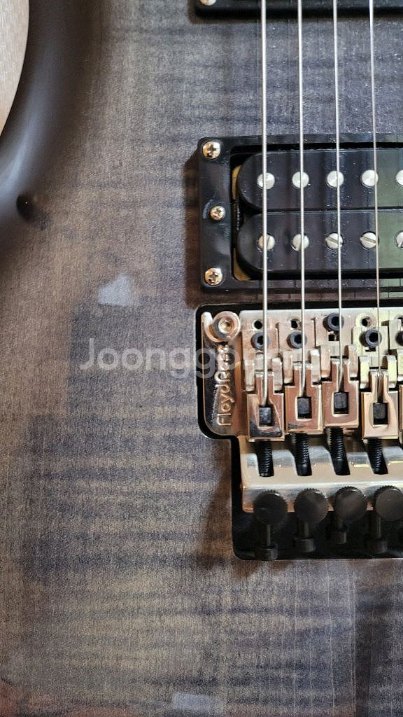 일렉기타 prs se floyd 2024모델 판매합니다--0