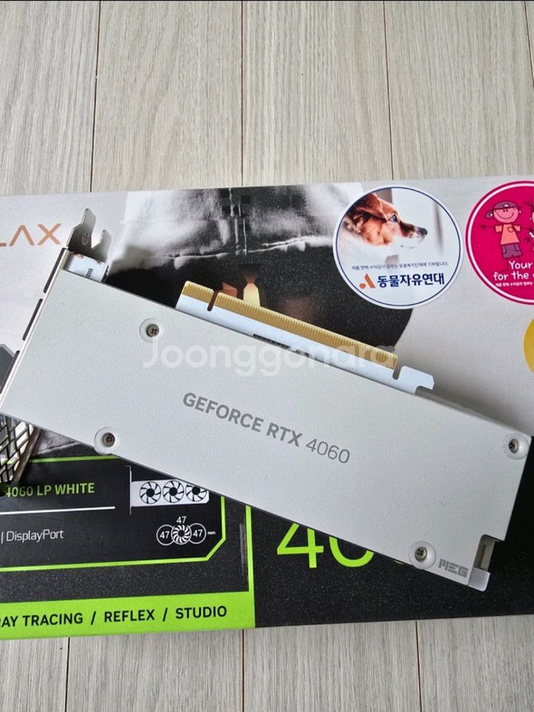 GALAX RTX 4060 LP 화이트--1