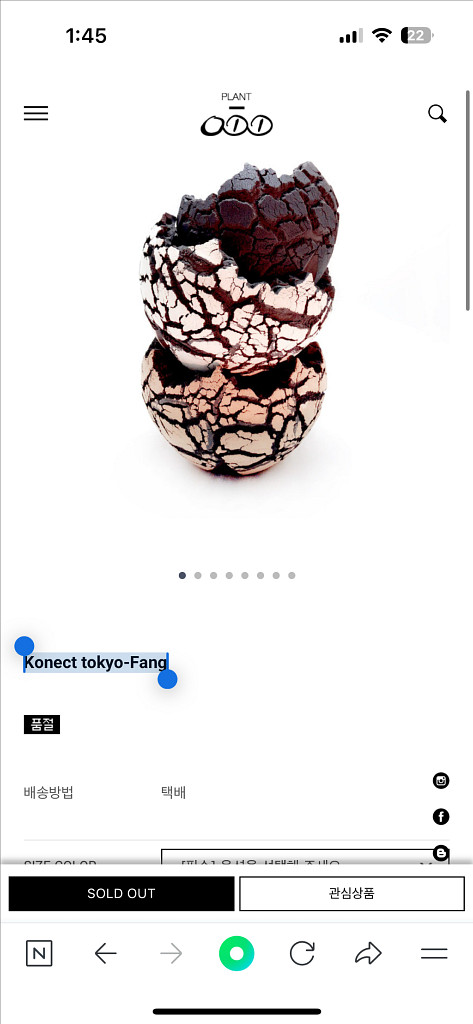 Konect tokyo-Fang 괴근화분 공룡알화분--0