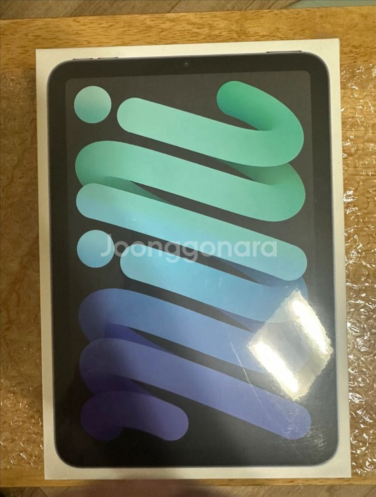 아이패드 미니 6세대 Wifi 256GB 스페이스 그--0