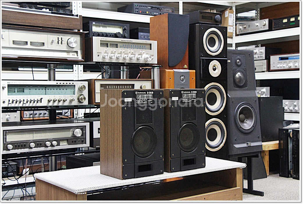 라디오테크니카(소련) 빈티지 북쉘프 스피커 S-30B--0