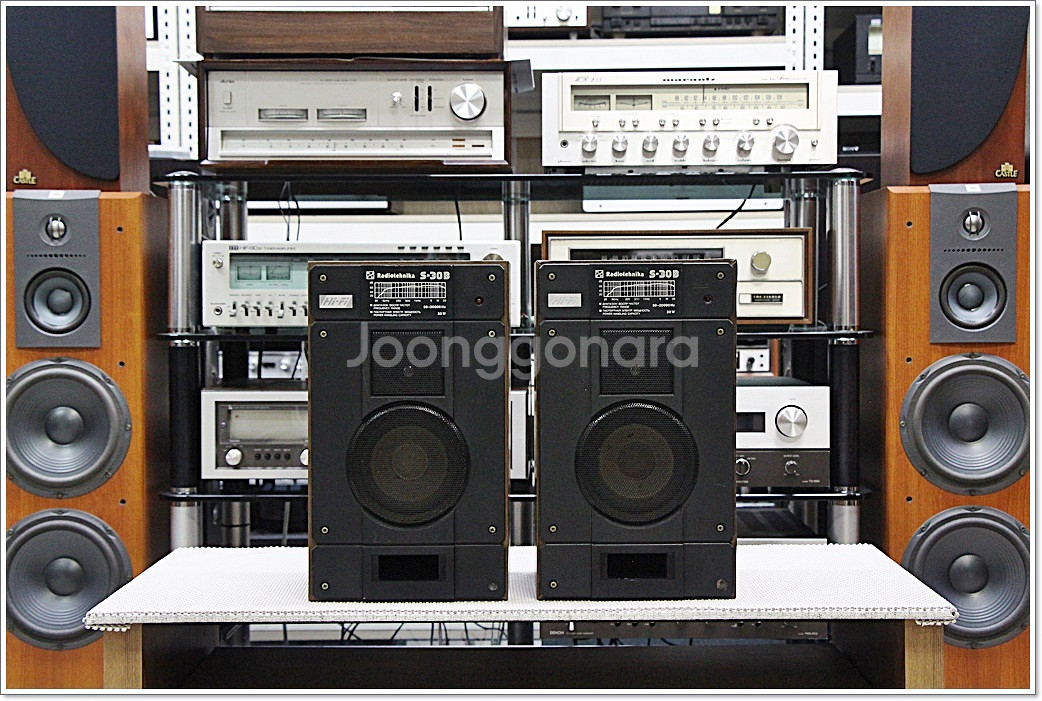 라디오테크니카(소련) 빈티지 북쉘프 스피커 S-30B--2