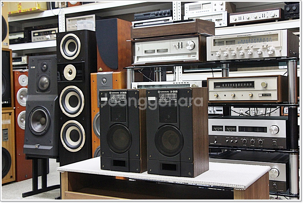 라디오테크니카(소련) 빈티지 북쉘프 스피커 S-30B--1