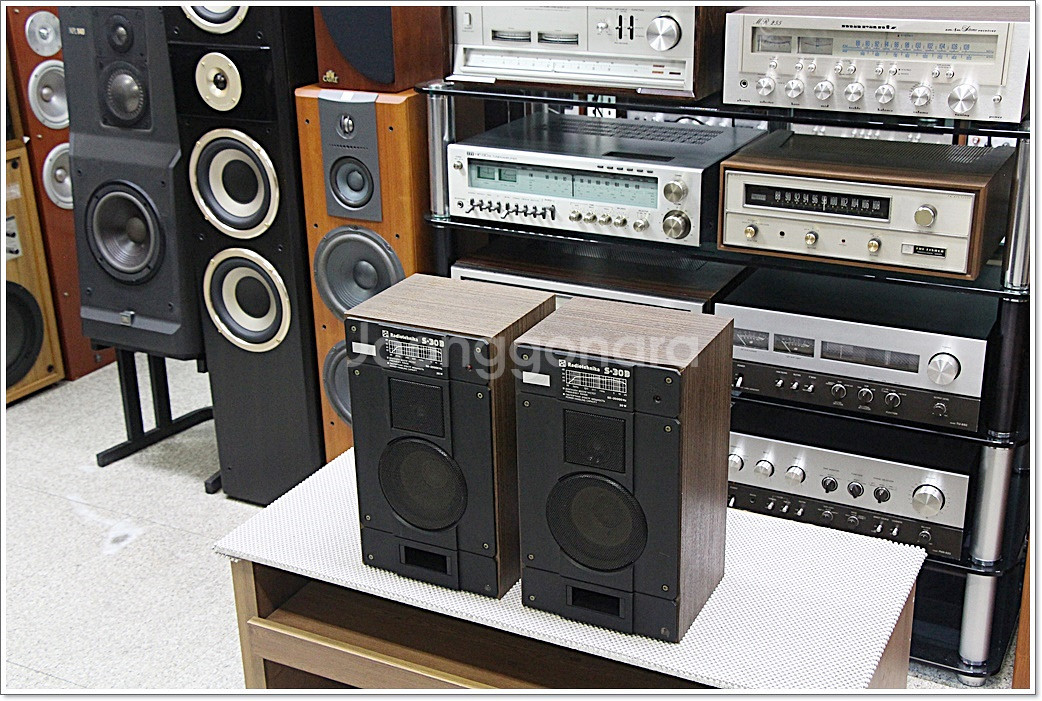 라디오테크니카(소련) 빈티지 북쉘프 스피커 S-30B--5