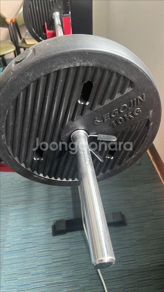 벤치프레스--1