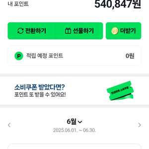 [선입금!!] 네이버페이 93% 삽니다