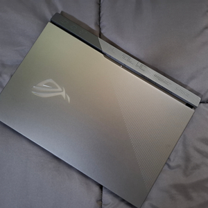 ASUS ROG STRIX G713QM 3060 노트북