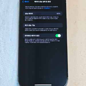 아이폰 13 프로 맥스 1TB