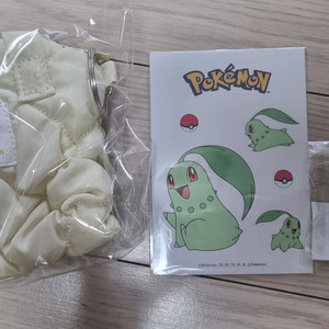 포켓몬 키링 파우치&키링