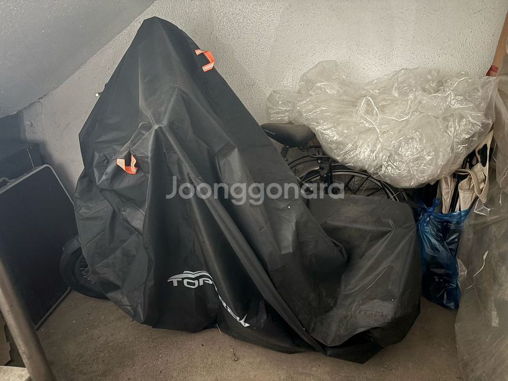 22년식 퀄리 Q 투어 판매합니다--0