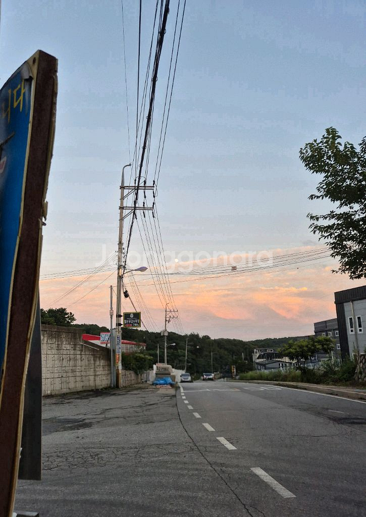 메가박스 1인--0