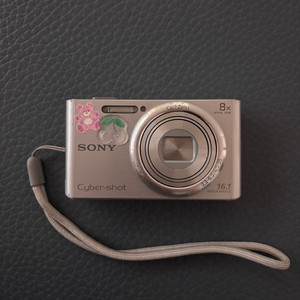 소니 Cyber-shot dsc w730 디지털 카메라