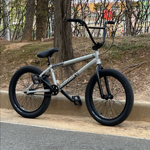 Sunday EX 21 tt bmx 선데이 bmx