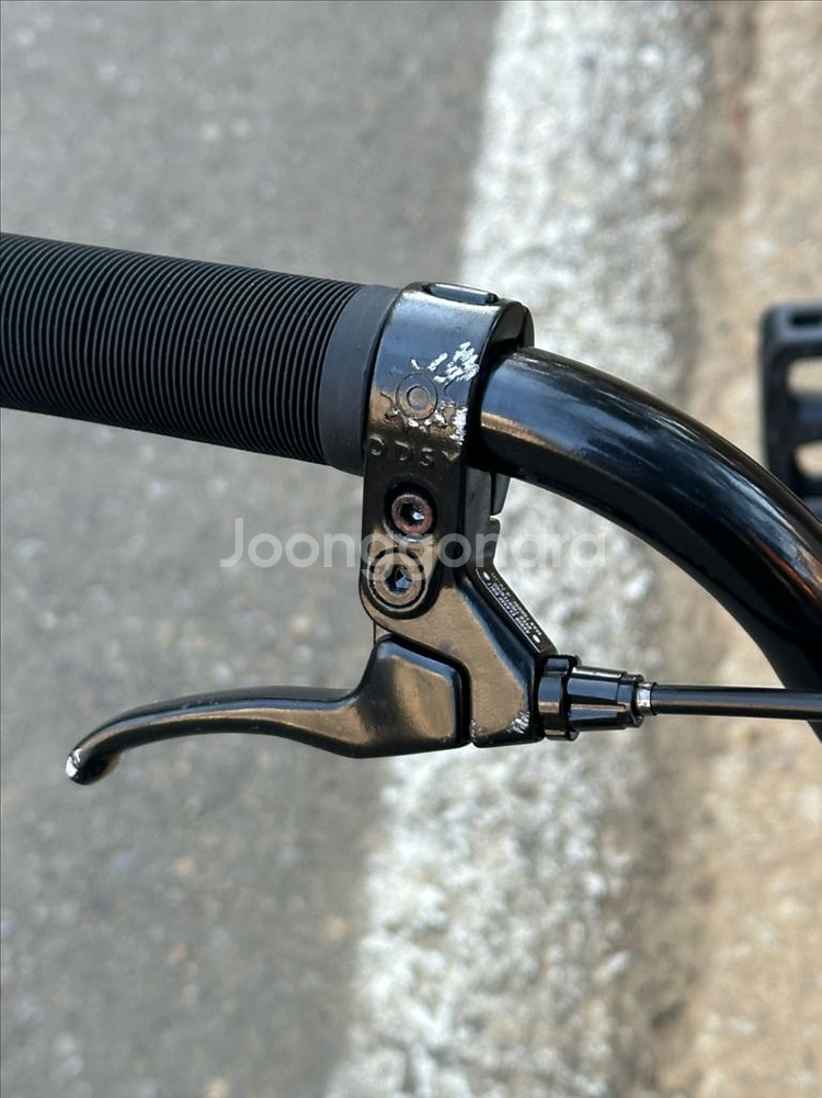 Sunday EX 21 tt bmx 선데이 bmx--7