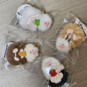모루못토상 기니피그 야채 식사 버전