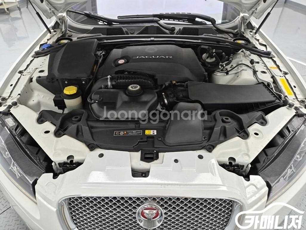 [재규어]뉴XF 3.0 D 럭셔리 (5인승) #앱특가--4