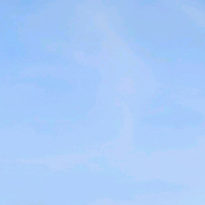 한우정액 팝니다.