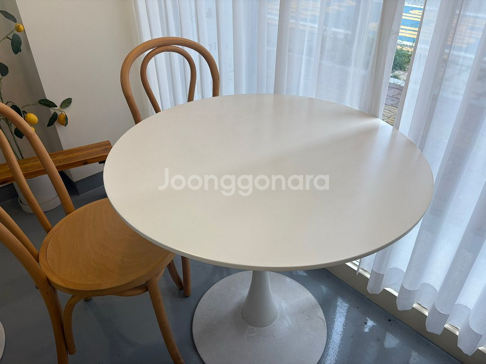 카페폐업 테이블/의자--1
