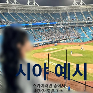 8월12일 삼성vs기아전 야구티켓