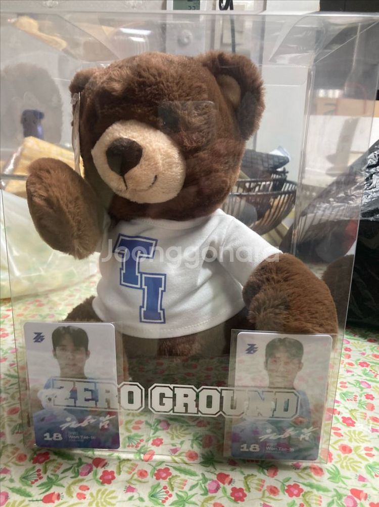 제로그라운드 원태인 곰인형--0