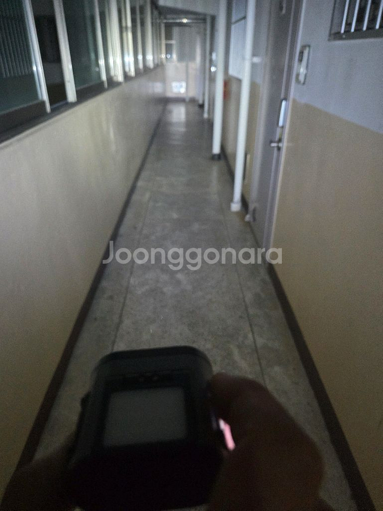 모자ㆍ안젼모탈부착모션후레쉬--9