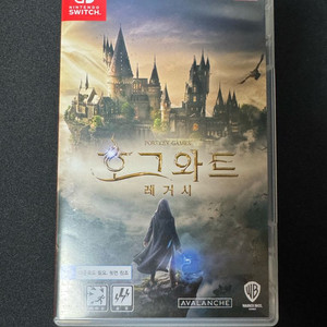 닌텐도 스위치 호그와트 레거시