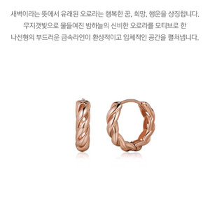 골든듀 오로라3 귀걸이 한쪽 삽니다~