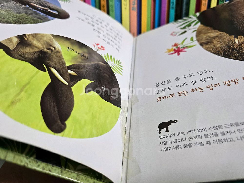 아람 자연이랑 85종--4
