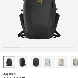 아크테릭스 맨티스 16