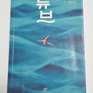 손원평 소설 튜브