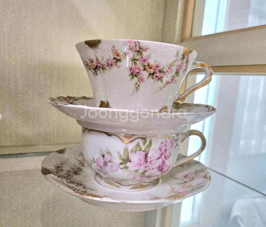 Haviland Limoges(하빌랜드 리모주)티세트--3
