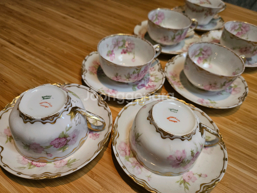 Haviland Limoges(하빌랜드 리모주)티세트--6